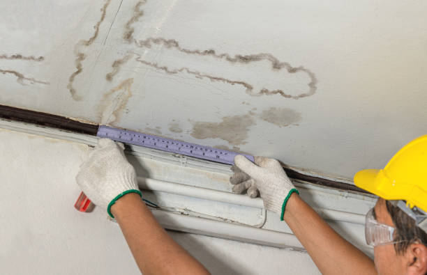 Reliable Sewage Cleanup contractor in Edwall, WA by Water Damage Irwin